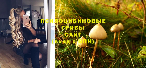бошки Волосово