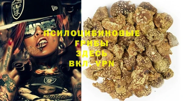 гашик Волоколамск