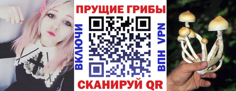 Галлюциногенные грибы GOLDEN TEACHER  сайты даркнета состав  блэк спрут ссылка  Тамбов  что такое  