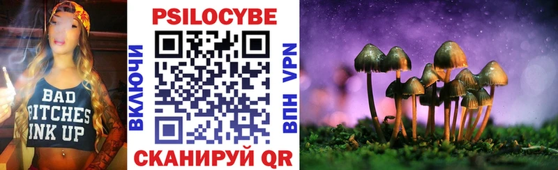Галлюциногенные грибы Psilocybine cubensis Тамбов
